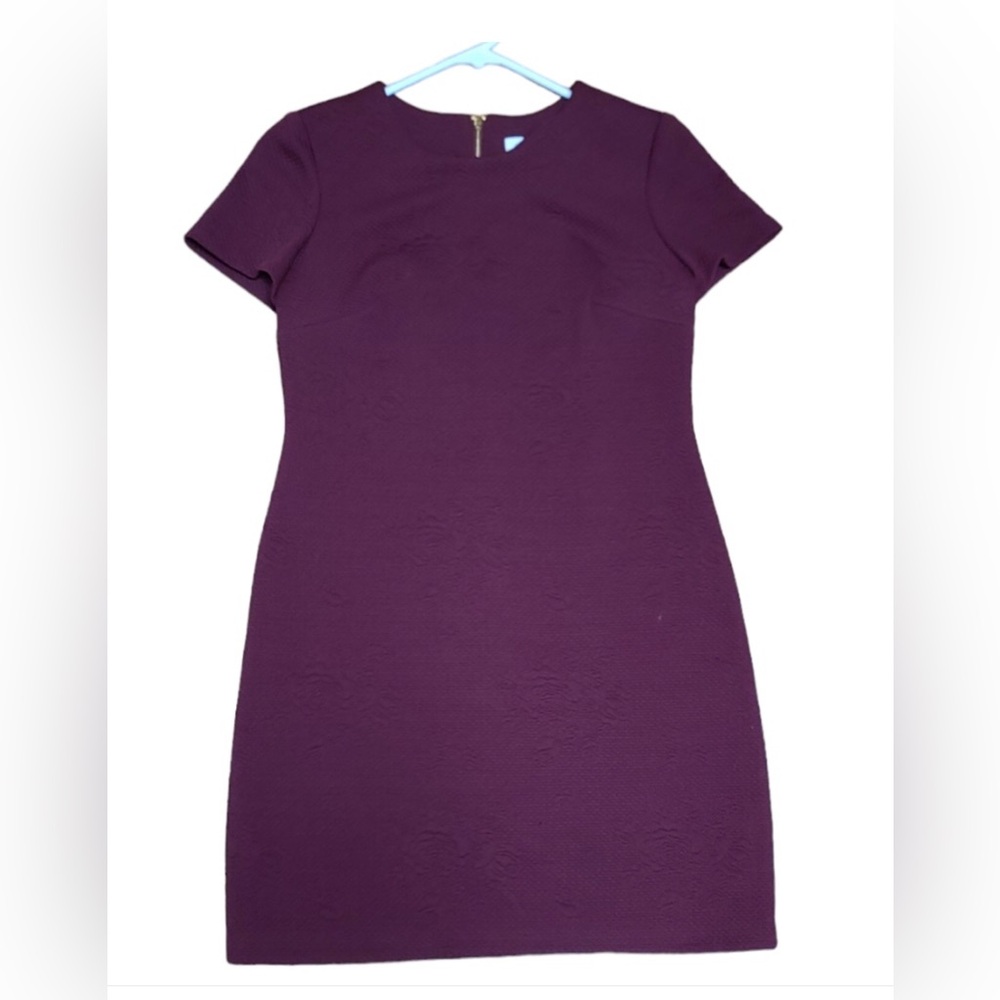Calvin Klein short sleeve dress